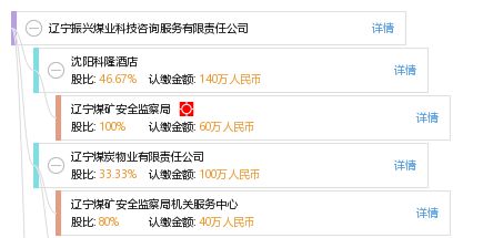 信息技術咨詢服務 遼寧振興煤業(yè)科技咨詢服務有限責任公司的專業(yè)優(yōu)勢
